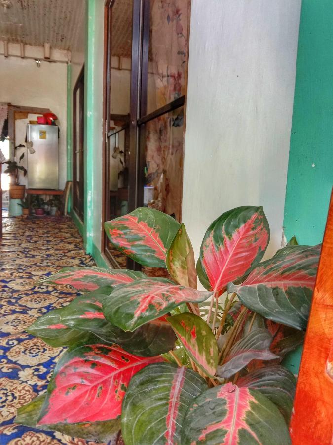 Abba Homestay General Luna  Εξωτερικό φωτογραφία